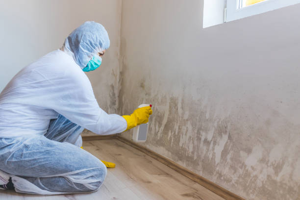 Licensed Commercial Mold Remediation service in Sharpsburg, PA - WQB Mold Removal