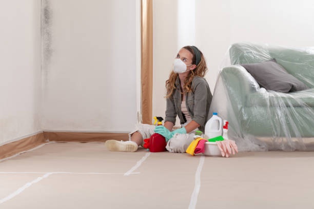 Reliable Commercial Mold Remediation contractor in Sharpsburg, PA by WQB Mold Removal